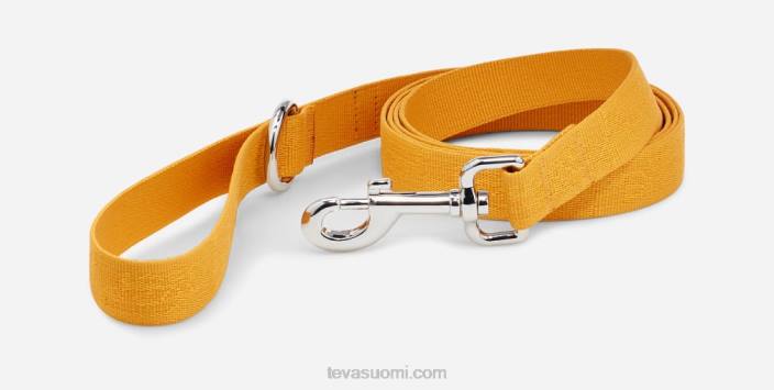 Teva koiran talutushihna 25mm 42P6212 teva tekstuurinen auringonkukka